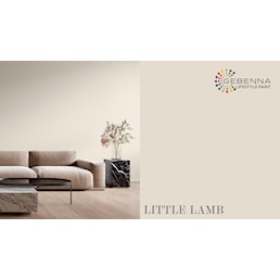 LITTLE LAMB.jpg